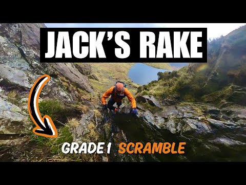 Видео: JACK'S RAKE, схватка уровня 1 в одиночку ‼️⚠️ в Озерном крае