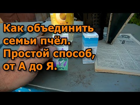 Видео: Как объединить семьи пчёл. Простой способ, от А до Я.