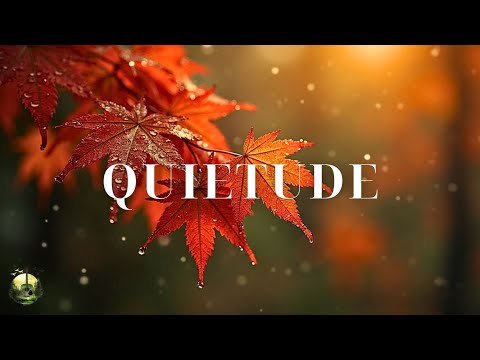 Видео: Расслабляющая музыка для снятия стресса, успокоения и учёбы | Красивые звуки природы