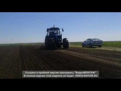 Видео: Журвлевка-1 производство картофеля