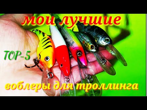 Видео: Мои воблеры для троллинга-лучшие 2020 #рыбалка #воблеры для троллинга#топ воблеров на щуку