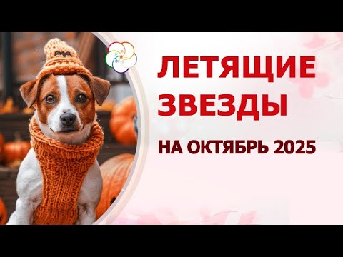 Видео: ФЭН ШУЙ 2025: прогноз по летящим звездам на ОКТЯБРЬ 2025