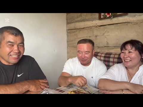 Видео: Қойтас ауылым 2.08.2025