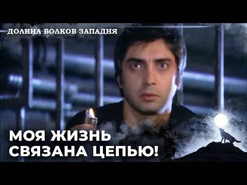 Видео: Полат Алемдар Совершает Побег! | Долина Волков: Засада — Серия 44