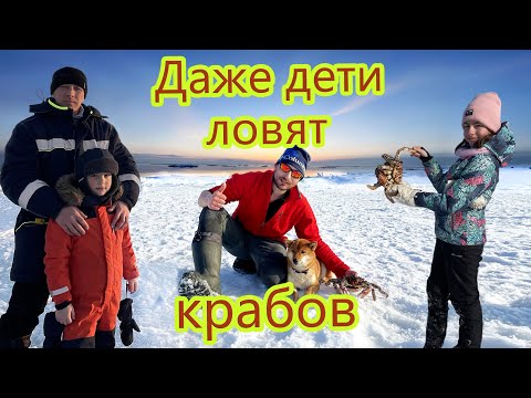 Видео: Как ловят крабов на Сахалине | Организовал детям крабалку