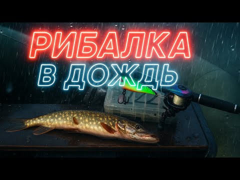 Видео: РИБАЛКА на ЩУКУ в ДОЩ 🌧️ осінь🍂2025 