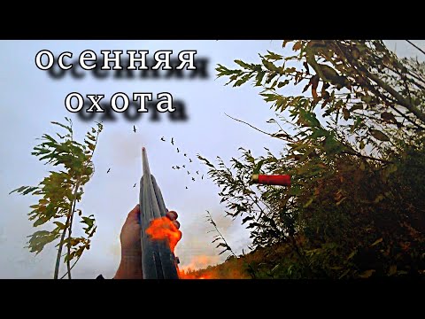 Видео: осенняя охота на гусей за полярным кругом 2024
