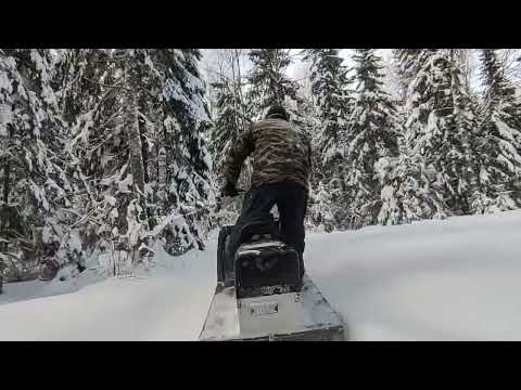 Видео: 21.01.24 ч2