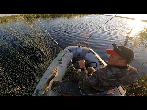 Видео: рыбалка на паук подъёмник в непролазных местах