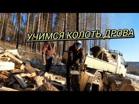 Видео: УЧИМСЯ КОЛОТЬ ДРОВА! ЗАГОТОВКА ДРОВ! КАК В РЕАЛНОСТИ ЕСТЬ НА САМОМ ДЕЛЕ!