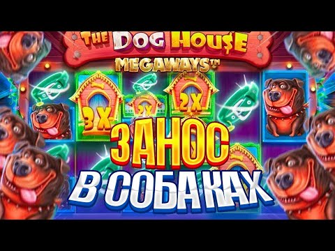 Видео: СВЕРХ ДОРОГИЕ БОНУСКИ В Dog House Megaways / ЗАНОС В ДОГХАУС МЕГАВЕЙС