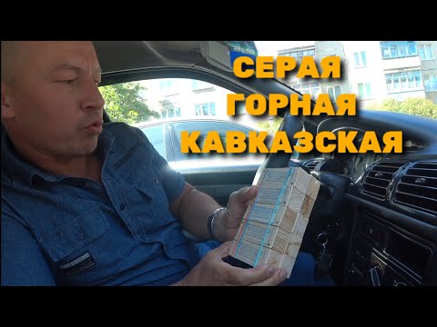 Видео: СЕРАЯ ГОРНАЯ КАВКАЗСКАЯ в хозяйстве у ДЕРЕВЕНЩИНЫ !!!