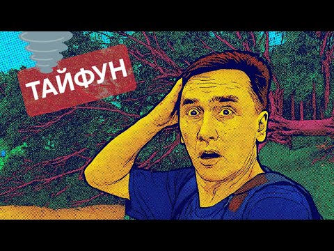 Видео: Тайфун прошел. Осталось это... 😱