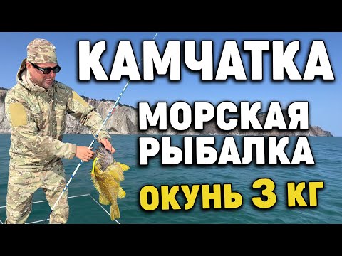 Видео: Морская рыбалка Камчатка август 2022 Голубой окунь 3 кг Sea fishing Kamchatka August 2022 Blue perch