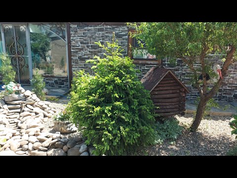 Видео: В хозяйстве всё пригодится