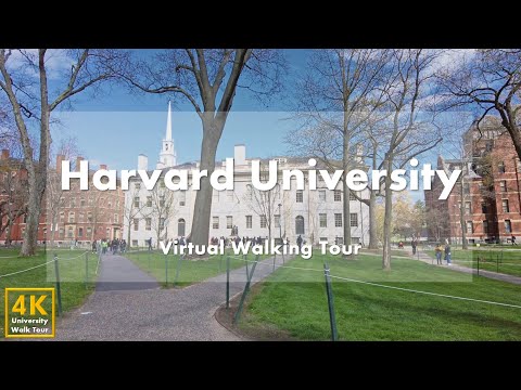 Видео: Гарвардский университет (Harvard University) - виртуальная пешеходная экскурсия [4k 60fps]