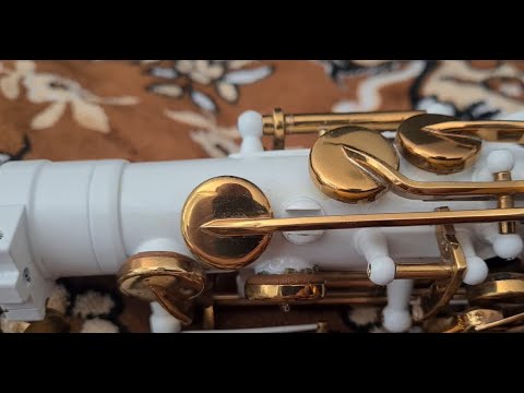 Видео: Диагностика и косметический ремонт альт саксофона