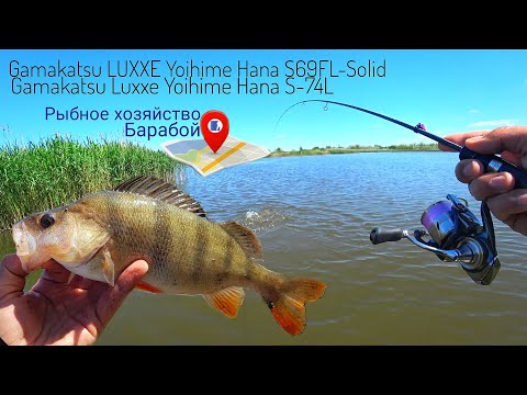 Видео: Рыбалка с Gamakatsu LUXXE Yoihime Hana S69FL и Gamakatsu LUXXE Yoihime Hana S74L.