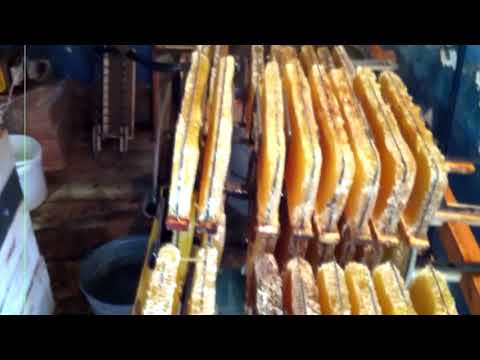 Видео: Откачка малоформатных рамок на стандартной 4-ех рамочной медогонке