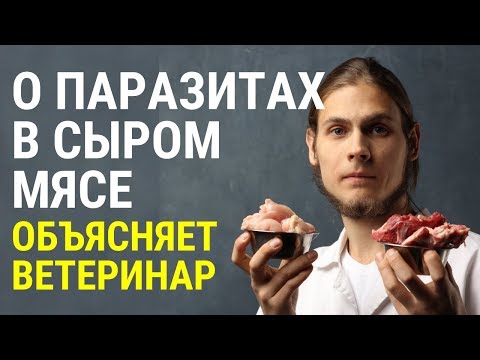 Видео: Как организм кошек и собак защищён от бактерий и паразитов? Объясняет ветеринар Дмитрий Русаков.