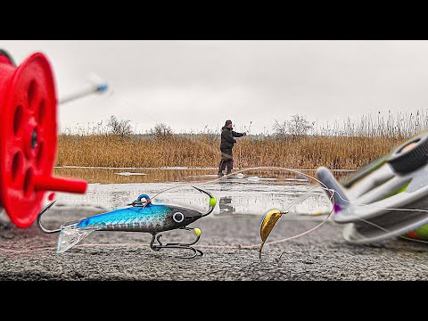 Видео: ЯКА БЕЗМОТИЛКА, НЕ ЗЛИВАЄ ОКУНЯ??? Зимова риболовля, лов окуня на голого!