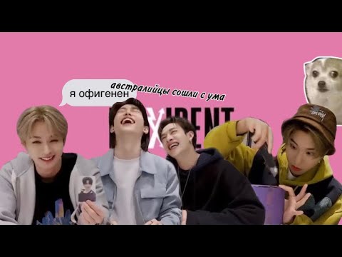 Видео: главные фанаты стрей кидс in the buiding