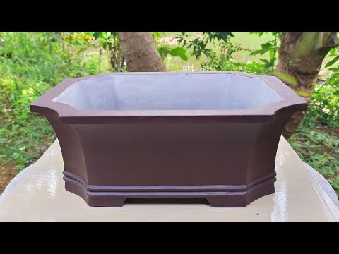 Видео: Как сделать горшок для бонсай с помощью простых инструментов