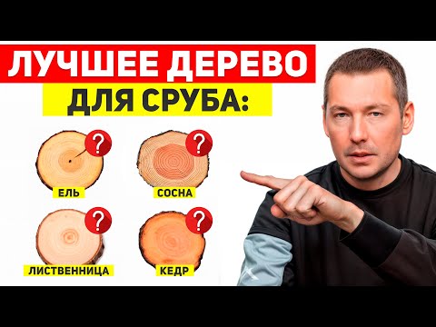 Видео: ЛУЧШЕЕ ДЕРЕВО  для СРУБА? Сосна, лиственница, кедр или ель – сравнение для ДОМА и БАНИ