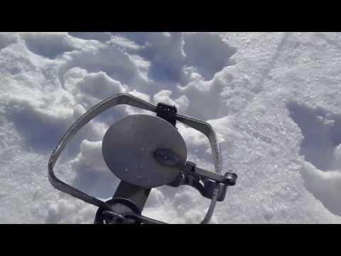 Видео: проверка петель на зайца 29.01