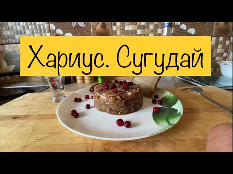 Видео: Весь день рыбачил, а съели за одну минуту😋