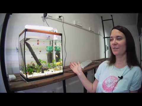 Видео: Мастерим большую стойку под аквариумы / Глобальные перемены