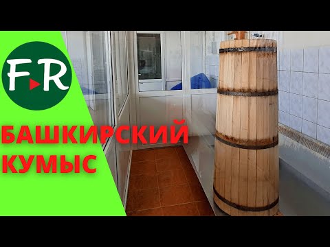 Видео: Доить кобыл круглый год? Легко! Как производят натуральный кумыс. Уфимский конный завод №119