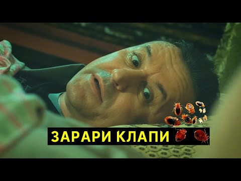 Видео: Тарзи нест кардани Клапи - Ташриф ва амаки Қррбун