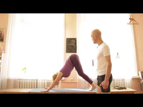 Видео: Адхо Мукха Вирасана МК "30 асан для домашней практики". Йога Айенгара в Днепре