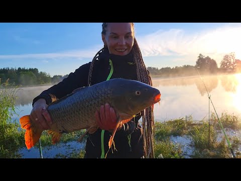 Видео: Жена ПОЙМАЛА САМУЮ БОЛЬШУЮ РЫБУ за всю историю, НЕ ПОВЕРИЛ если бы не увидел! Классная рыбалка!