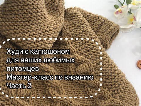 Видео: Модное худи для вашего питомца. Вяжем спицами. Мастер-класс. Часть 2