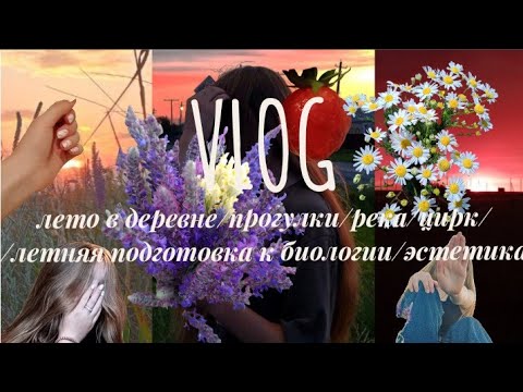 Видео: //᧘ᥱᴛ᧐ ʙ дᥱρᥱʙнᥱ//