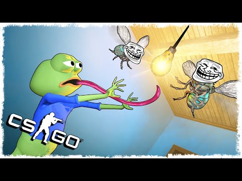 Видео: ТРОЛЛЬ МУХИ vs ГОЛОДНАЯ ЛЯГУХА МАНЬЯК В CS:GO!!!