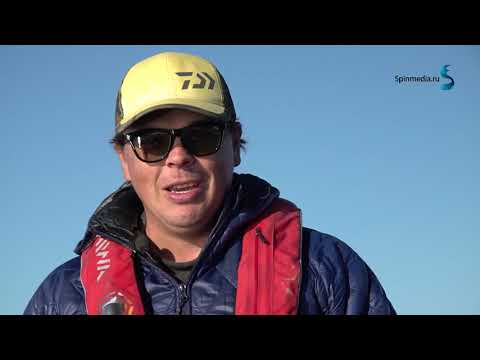 Видео: Обзор лодки VBOATS FISHPRO 50 Алексея Шанина