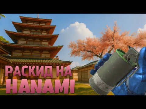 Видео: Раскид на Ханами | Hanami standoff 2