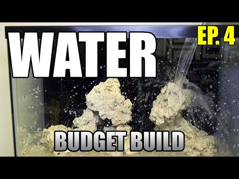 Видео: Первое наполнение аквариума соленой водой — бюджетная сборка