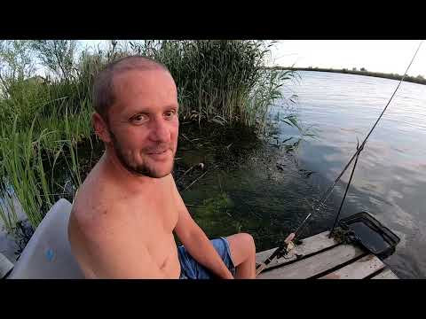 Видео: Суточная рыбалка на Днестре ,база Белуга , ошибся с закормом.26 июня 2023 г.