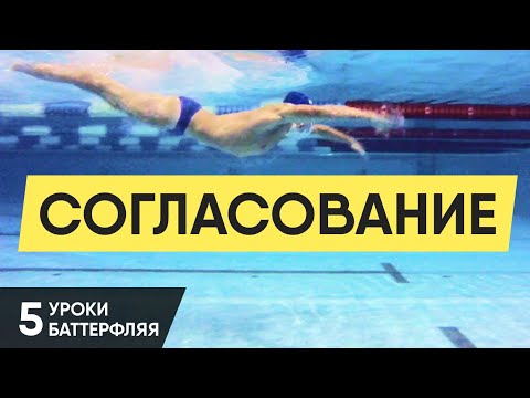 Видео: КАК ЛЕГКО И КРАСИВО ПЛАВАТЬ БАТТЕРФЛЯЕМ? УРОК 5. УРОКИ БАТТЕРФЛЯЯ @ Swimmate.ru