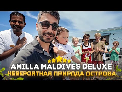 Видео: Amilla Maldives 5* Deluxe: огромные виллы, шикарная природа острова и полный релакс