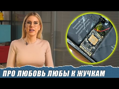 Видео: Как охотиться на Соболь с помощью жучка за 700 рублей