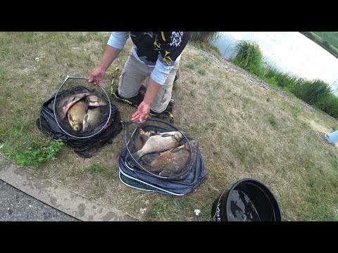 Видео: ЛОВЛЯ КРУПНОГО ЛЕЩА НА ПРУЖИНКУ И ФИДЕР. ПОКЛЕВКА КРУПНОГО СОМА НА ФИДЕР. ПШЕНО СРАБОТАЛО НА УРА