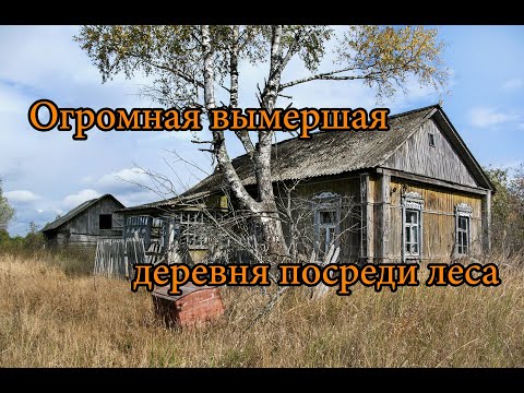 Видео: ОГРОМНАЯ ЗАБРОШЕННАЯ ДЕРЕВНЯ ПОСРЕДИ ЛЕСА