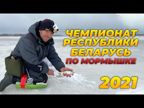 Видео: НА ТАКУЮ РАЗДАЧУ КРУПНОЙ ГУСТЕРЫ РЕДКО ПОПАДАЕШЬ НА ОБЫЧНОЙ РЫБАЛКЕ! ЧЕМПИОНАТ БЕЛАРУСИ ПО МОРМЫШКЕ