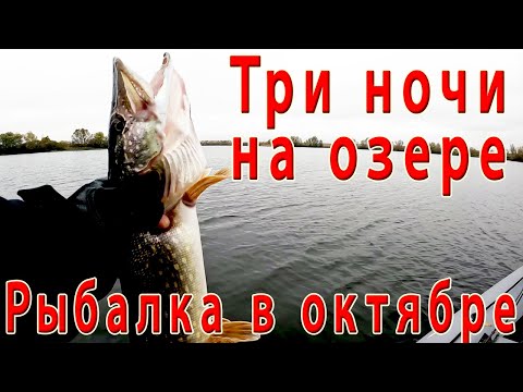 Видео: Щука на спиннинг в октябре: Сложная рыбалка и уха на природе.......