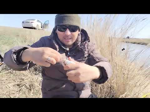 Видео: Майбалык, лето 2023